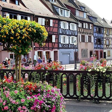 Colmar,Appart Chaleureux 2 Pas Centre Avec Jardin المظهر الخارجي الصورة