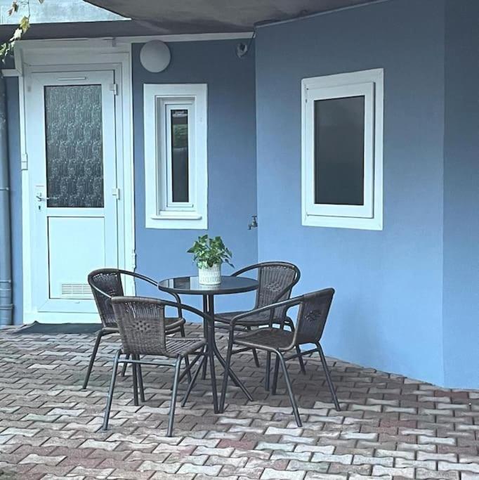 Colmar,Appart Chaleureux 2 Pas Centre Avec Jardin المظهر الخارجي الصورة