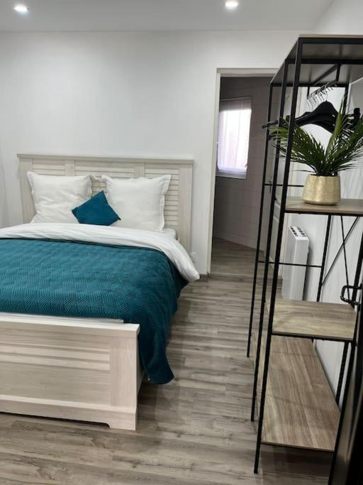 Colmar,Appart Chaleureux 2 Pas Centre Avec Jardin المظهر الخارجي الصورة