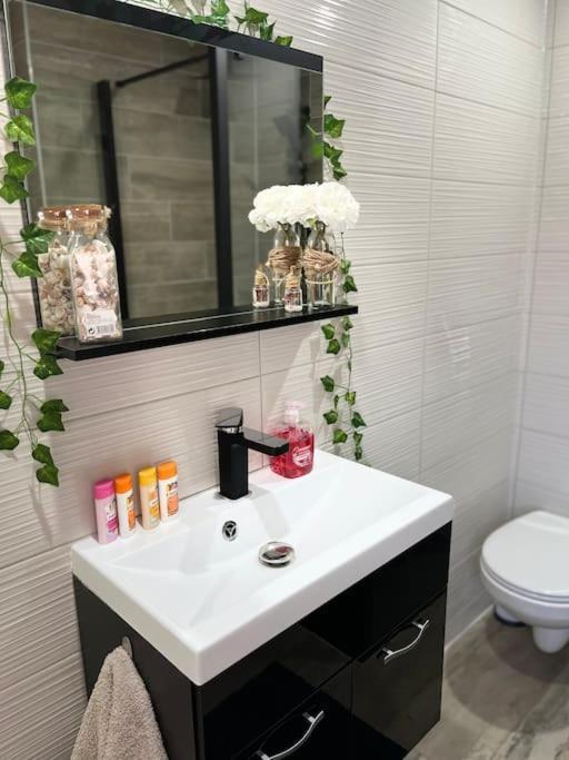 Colmar,Appart Chaleureux 2 Pas Centre Avec Jardin المظهر الخارجي الصورة